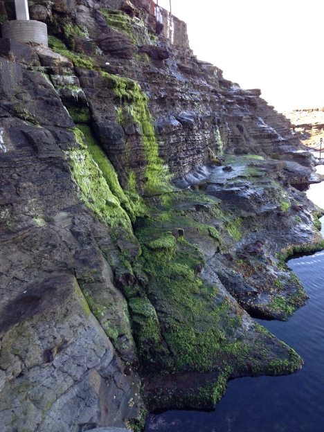 A look at the cliff from the base of the Bogey Hole